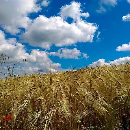 Oda ve Kahvaltı Le Moulin De Laval 3*